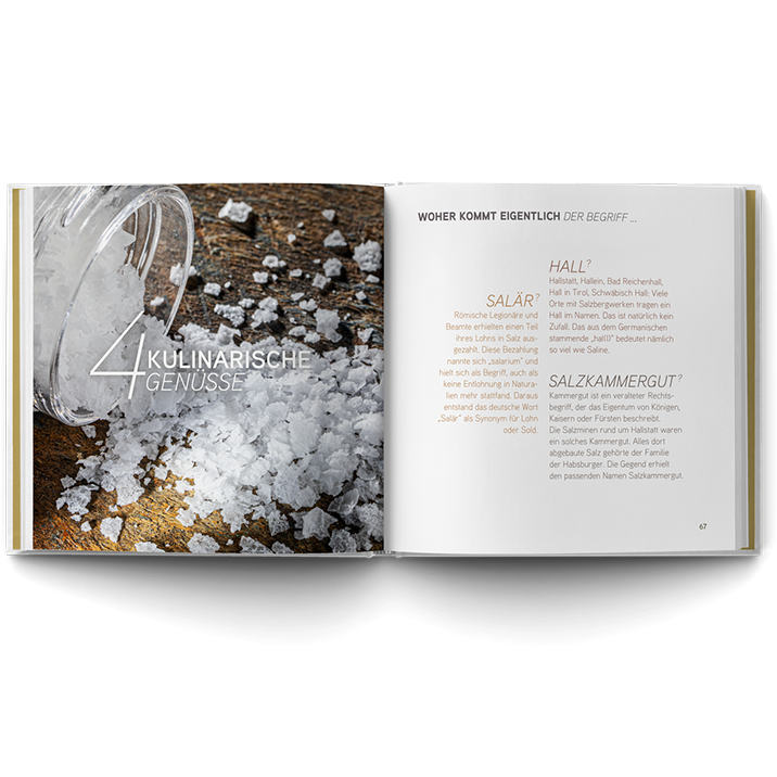 Buch Das weiße Gold des Salzkammerguts Innenansicht S.24-25