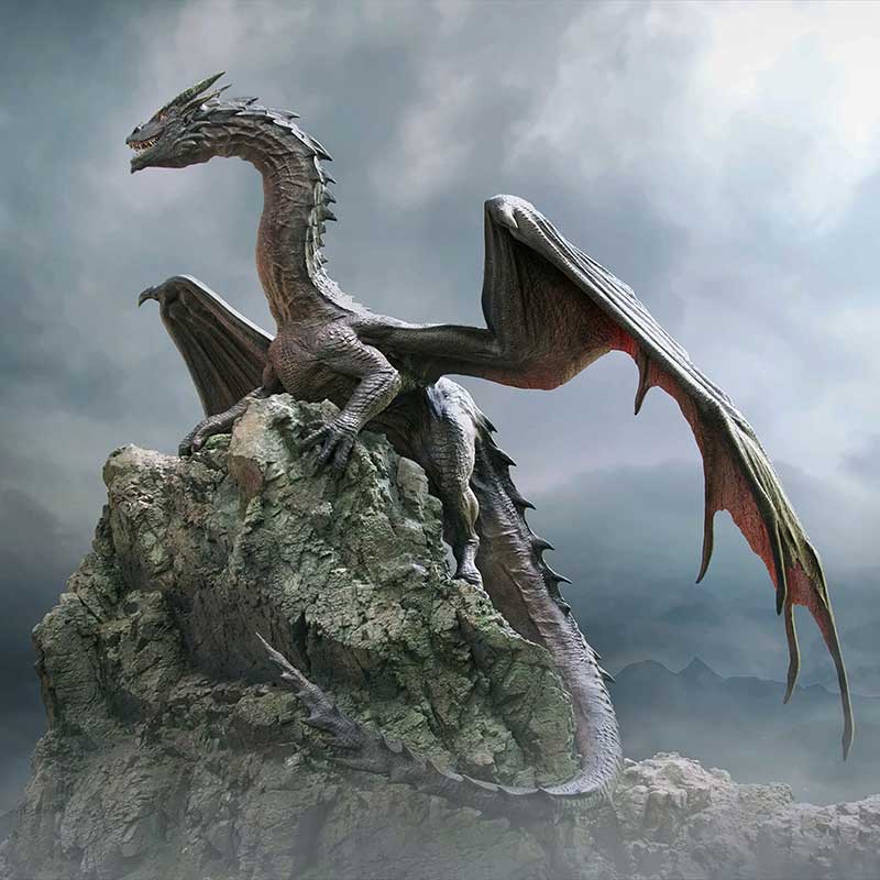 Illustration of a dragon on a rocky peak