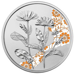 10-Euro-Silbermünze Ringelblume Vorderseite