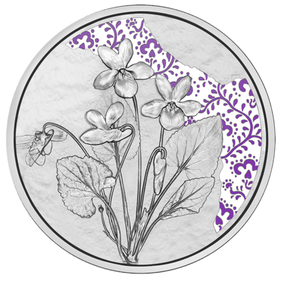 10 euro silver coin violet proof RS