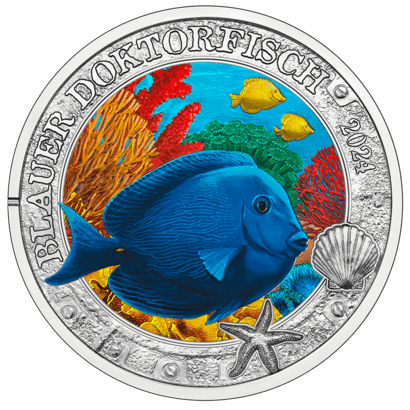 2024 3 euro coin blue doctorfish revers