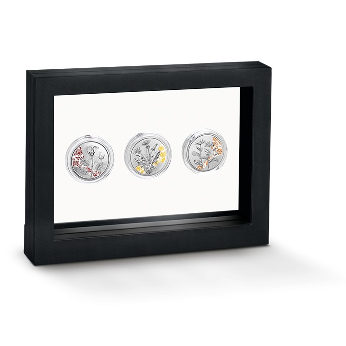 Coin Frame with three Coins