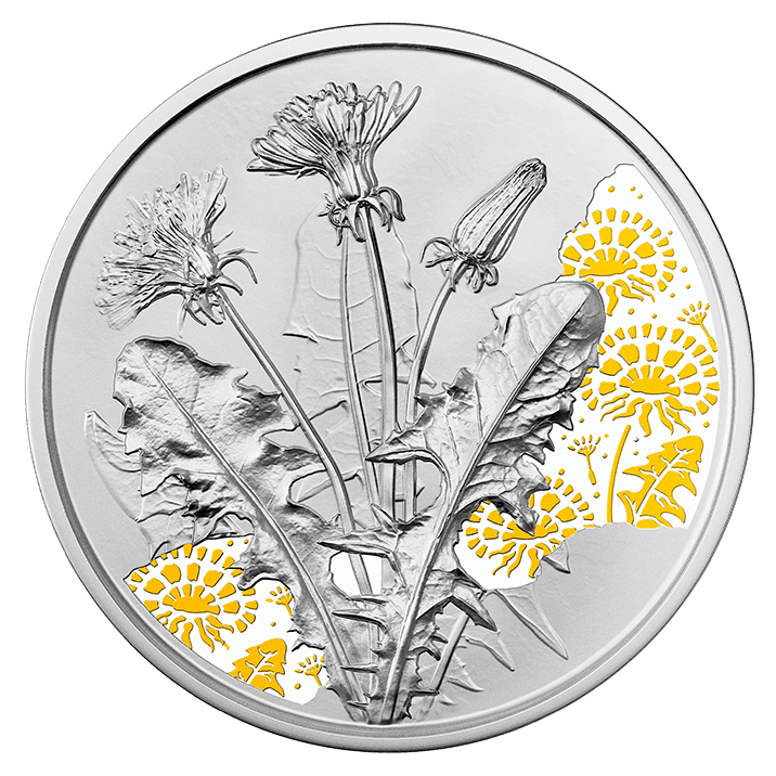 10-Euro-Silbermünze Der Löwenzahn Bildseite