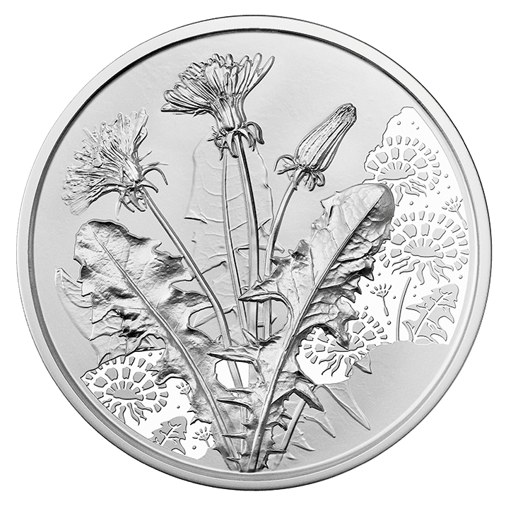 10-Euro-Silbermünze Hangehoben Der Löwenzahn Bildseite