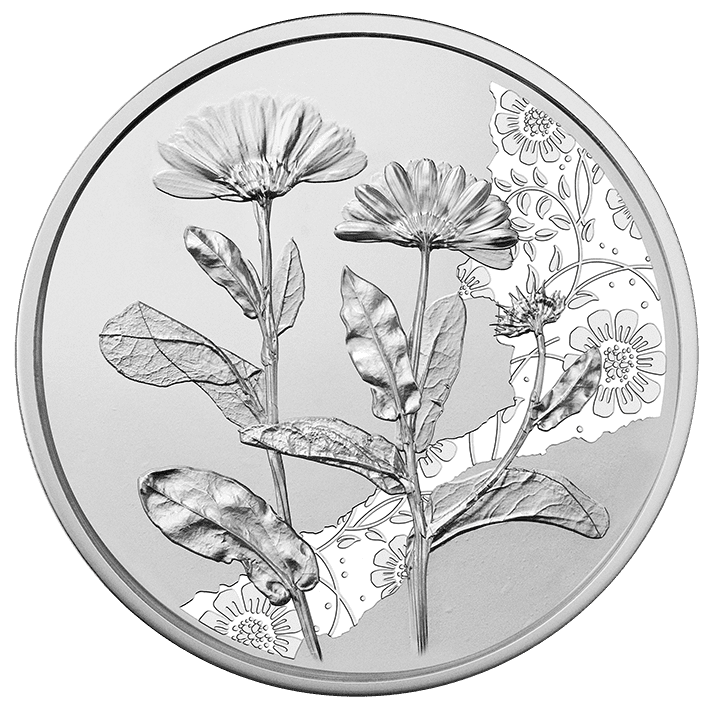 10-Euro-Silbermünze Ringelblume Revers Silber