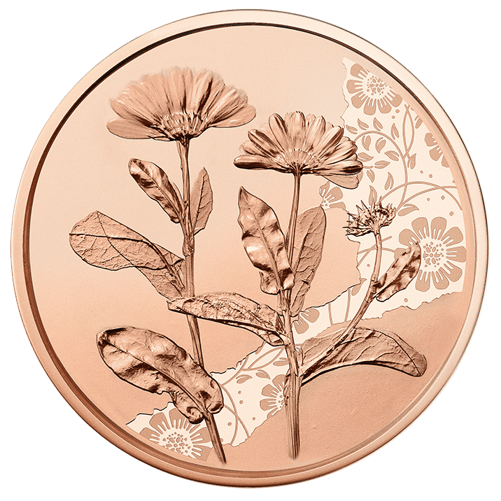 10-Euro-Silbermünze Ringelblume in Kupfer