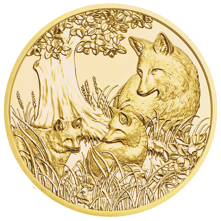 Gold Coin Fox