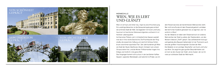 blister pack Vienna medal