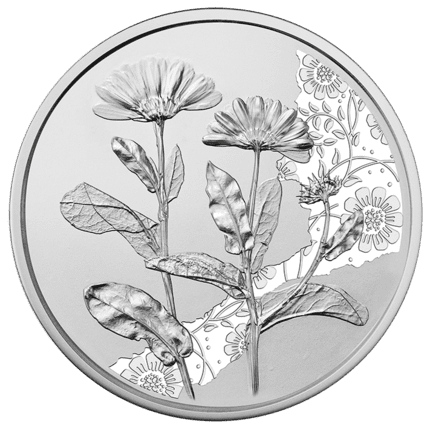 10 Euro Silver Marigold Coin
