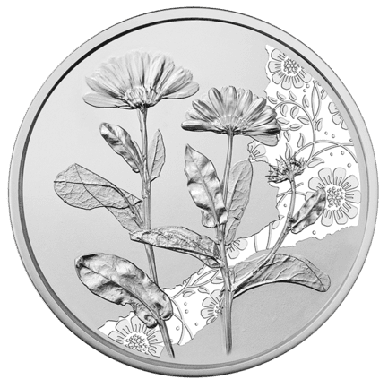 10-Euro-Silbermünze Ringelblume Revers Silber