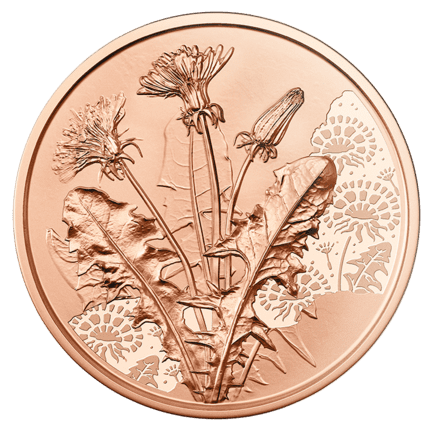 10-Euro-Kupfermünze Der Löwenzahn Bildseite