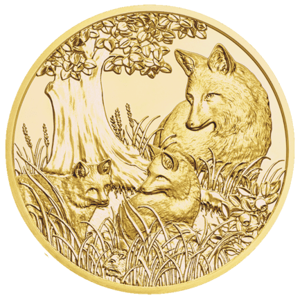 24+ Foxd coin price Coin