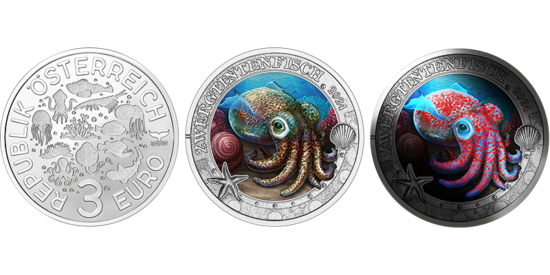 2024 3 Euro Zwergtintenfisch