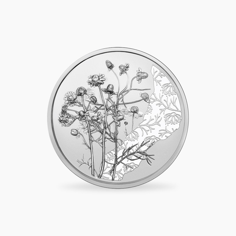 Sammlermünze in Silber