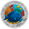 2024 3 euro coin blue doctorfish revers
