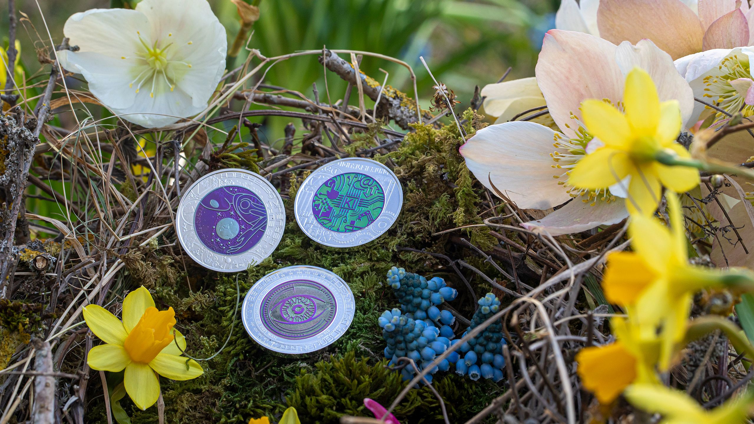 Silver-Niobium-Coins