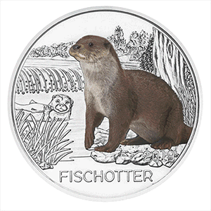colourful creatures, the otter