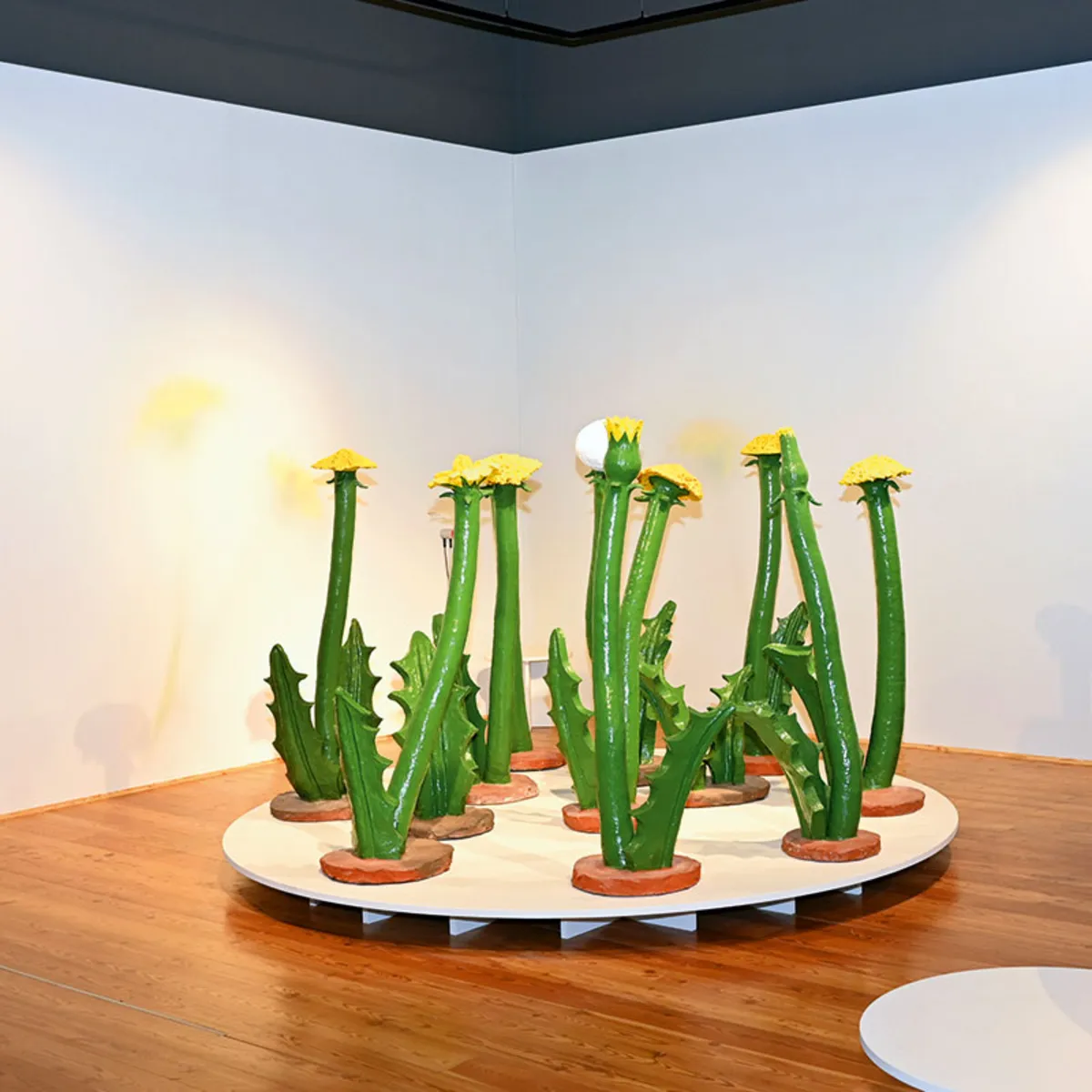 ausstellung-blume.jpg