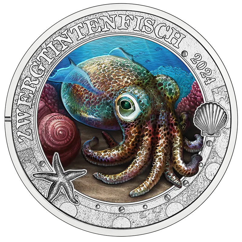 2024_3E_Zwergtintenfisch Revers