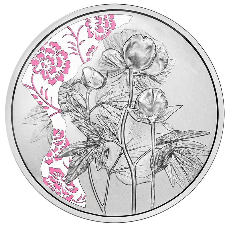 2024_10E_Pfingstrose_Ag_PP_RS