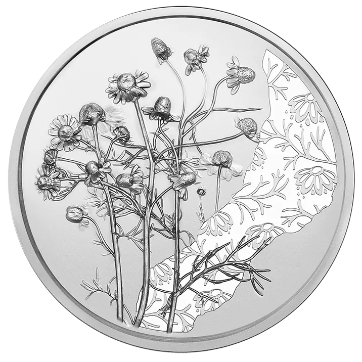 2023_10E_TheChamomile_Ag_HGH_RS