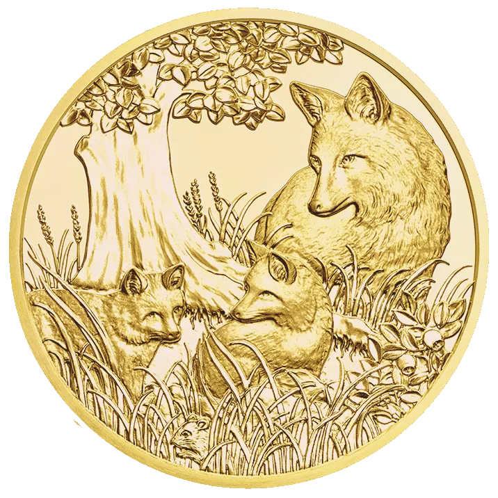 Goldmünze Der Fuchs
