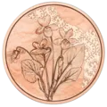 2024_10E_Veilchen Kupfer Revers