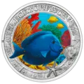 3-Euro Münze Blauer Doktorfisch Revers